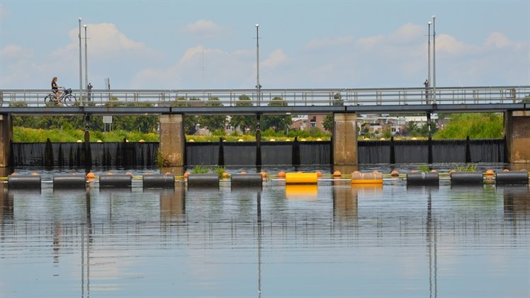 Web Stuw Hardenberg