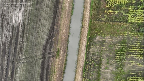 Melkachtige laag Oude Wegsbeek Vriezenveen