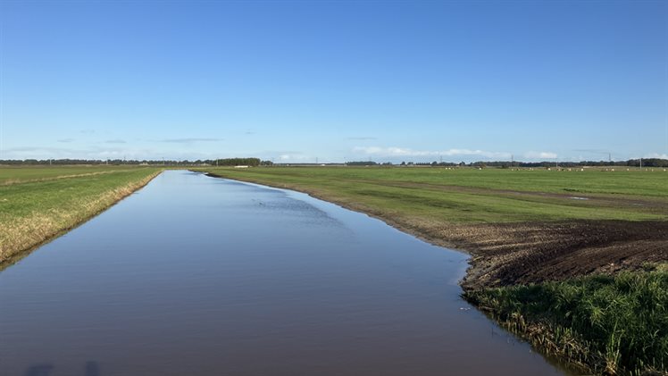 Natuurvriendelijke oevers