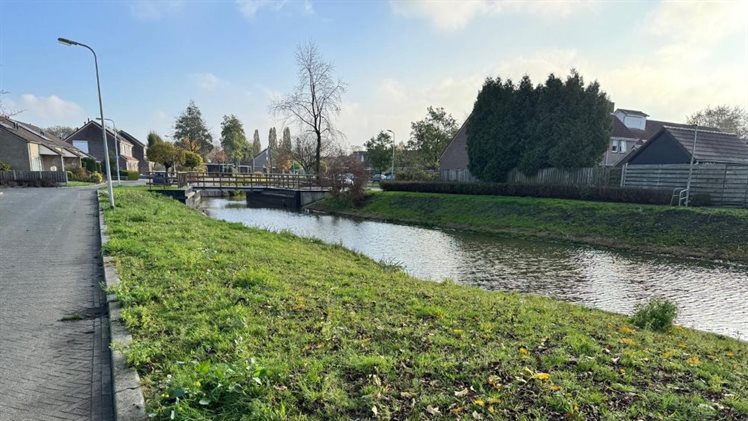 Vijver en brug na oplevering